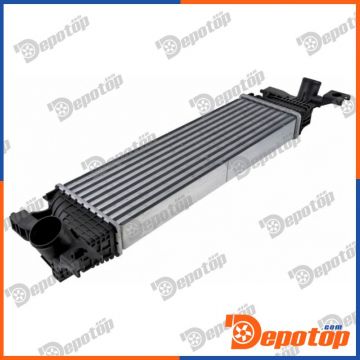 Intercooler pour SUZUKI | CCL-SU-000, 309116